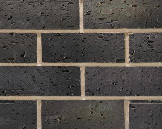 �֥��ɥ�����:�ɥ����� �����ɥ� ��󥬥����� ��:02(56740ACR)