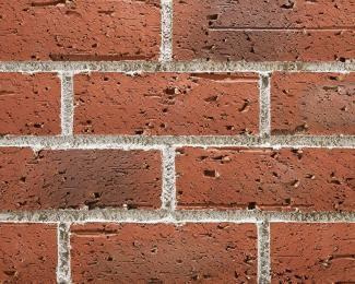 �֥��ɥ�����:�ɥ����� �����ɥ� ��󥬥����� ��:03(56741ACR)