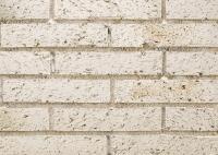 �ɥ����� �����ɥ� ��󥬥ϡ��ե����� ��:01 (56742ACR)