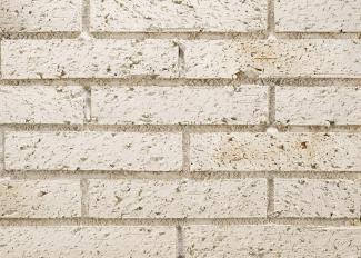 �֥��ɥ�����:�ɥ����� �����ɥ� ��󥬥ϡ��ե����� ��:01(56742ACR)