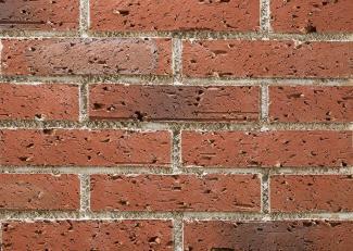 �֥��ɥ�����:�ɥ����� �����ɥ� ��󥬥ϡ��ե����� ��:03(56744ACR)