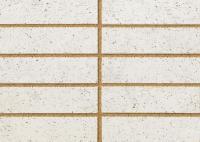 �ɥ����� ���å� ������ʿ��˥å�(������ĥ��) ��:01 (56757ACR)