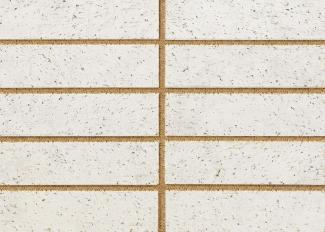 �֥��ɥ�����:�ɥ����� ���å� ������ʿ��˥å�(������ĥ��) ��:01(56757ACR)