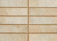 �ɥ����� ���å� ������ʿ��˥å�(������ĥ��) ��:04 (56760ACR)