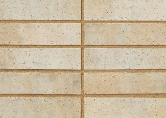 �֥��ɥ�����:�ɥ����� ���å� ������ʿ��˥å�(������ĥ��) ��:04(56760ACR)