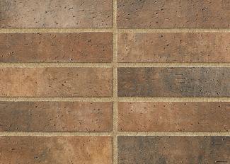 �֥��ɥ�����:�ɥ����� ���å� ������ʿ��˥å�(������ĥ��) ��:05(56761ACR)