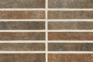 �֥��ɥ�����:�ɥ����� ���å��ܡ����� �ܡ�����ʿ��˥å� ��:05(56771ACR)