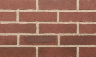 �֥��ɥ�����:�ɥ����� ����ƥ����� ������ʿ ��:02(56773ACR)