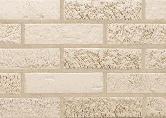 �֥��ɥ�����:�ɥ����� �����͡��襤����褦�� ������ʿ ��:881(56778ACR)