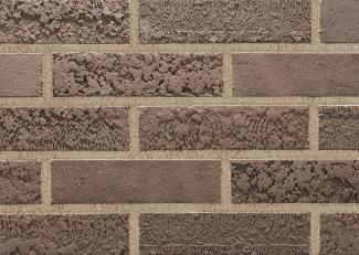 �֥��ɥ�����:�ɥ����� �����͡��襤����褦�� ������ʿ ��:885(56779ACR)