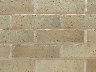 �֥��ɥ�����:�ɥ����� ���饷�å����ͥ� ������ʿ ��:15(56790ACR)