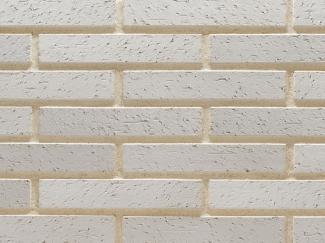 �֥��ɥ�����:�ɥ����� ���饷�å��ܡ��������ͥ� ������ʿ ��:12(56795ACR)