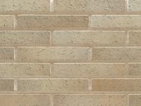 �ɥ����� ���饷�å��ܡ��������ͥ� ������ʿ ��:15 (56798ACR)