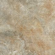 &ɥ Ρ 600ʿ(ե꡼) :Ρ 졼 ڼбʡ (57212ABC)