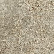 &ɥ Ρ 800ʿ(ե꡼) :Ρ 졼 ڼ͢ʡ (57217ABC)
