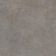 &ɥ ֥ 600ʿ(å) :֥ 㥳 ڼбʡ (57244ABC)