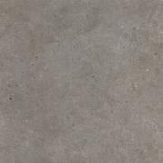 &ɥ ֥ 800ʿ(ޥå) :֥ 㥳 ڼбʡۡʡ (57250ABC)