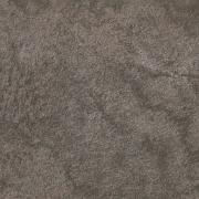 �������� �֥쥤��20 600��ʿ(�ƥ������㡼) ��:������ �ڼ����б��ʡ� (57360ABC)