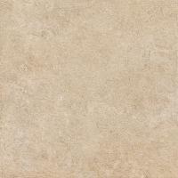  ॺ20 600ʿ(ƥ㡼) :١ ڼ͢ʡ (57363ABC)