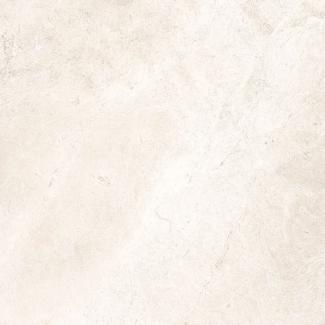 �֥��ɥ�����:�������� �����ȥ��å�20 600��ʿ ��:1.�ۥ磻��(57404NTT)