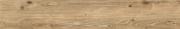 &ɥ  1200200ʿ :1.ʥ塼 (57426NTT)