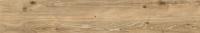 &ɥ  1200200ʿ :1.ʥ塼 (57426NTT)