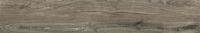 &ɥ  1200200ʿ :4.ƥС (57429NTT)