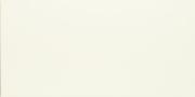 &ɥ Х饤ȥ顼 600x1200 :Ρۥ磻 (57441NGC)