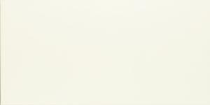 &ɥ Х饤ȥ顼 600x1200 :Ρۥ磻