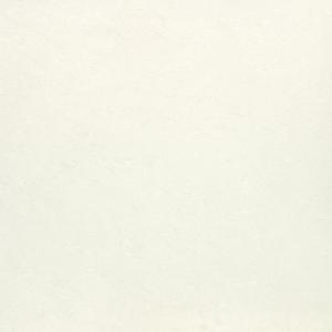 &ɥ Х饤ȥ顼 300 :Ρۥ磻