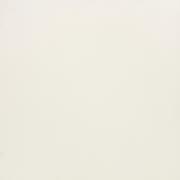 &ɥ Х饤ȥ顼 300 :ѡۥ磻 (57445NGC)