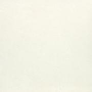&ɥ Х饤ȥ顼 400 :Ρۥ磻 (57447NGC)