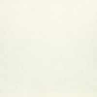 &ɥ Х饤ȥ顼 400 :Ρۥ磻 (57447NGC)