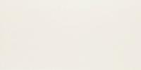&ɥ Х饤ȥ顼 600x1200 :ѡۥ磻 (57454NGC)