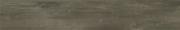 &ɥ ޥ󥦥å 200x1200 :å졼 (57493NGC)