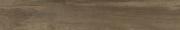 &ɥ ޥ󥦥å 200x1200 :֥饦 (57494NGC)