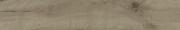 &ɥ ޥ󥦥å 200x1200 :ǥ֥饦 (57495NGC)