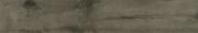 &ɥ ޥ󥦥å 200x1200 :å졼 (57496NGC)