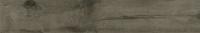 &ɥ ޥ󥦥å 200x1200 :å졼 (57496NGC)