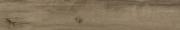 &ɥ ޥ󥦥å 200x1200 :֥饦 (57497NGC)