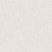 &ɥ Х 600 ޥå :1 (57509NGC)