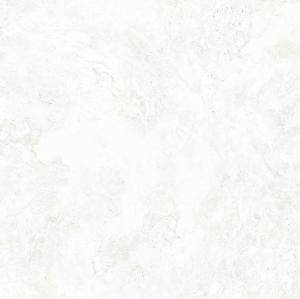 &ɥ ߥåޡ֥륹 600 :ۥ磻ȥȥС