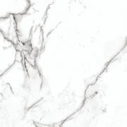 &ɥ ޥåȥ饷 600 :ȥꥪ (57684NGC)