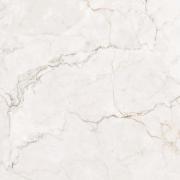 &ɥ ޥåȥ饷 400 :ޥåȥۥ磻ȥݥ (57692NGC)