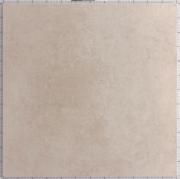 &ɥ ˥塼衼 600 :NY-60-2M (57743NGC)