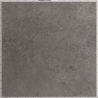 &ɥ ˥塼衼 600 :NY-60-5M (57746NGC)