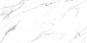 &ɥ ܡ 600x1200 :ȥꥪ  (57798NGC)