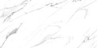 &ɥ ܡ 600x1200 :ȥꥪ  (57798NGC)