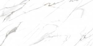 &ɥ ܡ 600x1200 :ȥꥪ 