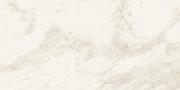 &ɥ ܡ 600x1200 ᤭ :å ۥ磻 (57802NGC)